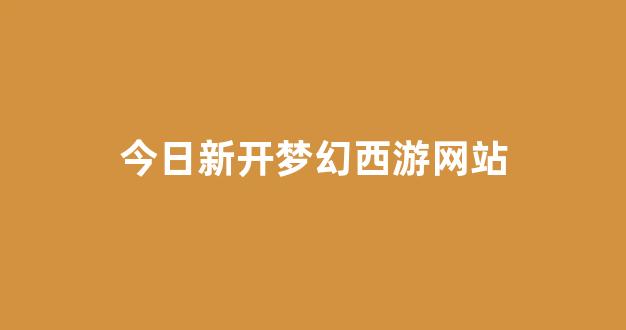梦幻手游私服