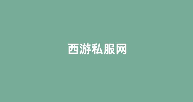 梦幻西游 私服